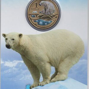 1419403919_1 2013澳洲北極熊