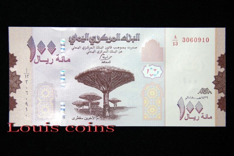 5-1 B005‧Yemen‧2019葉門‧100 Rials紙鈔(491)