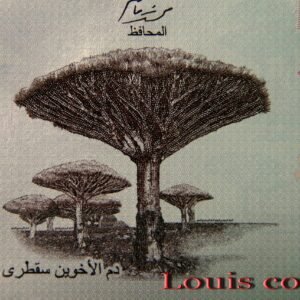 5-3 B005‧Yemen‧2019葉門‧100 Rials紙鈔(491)