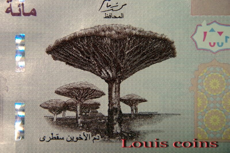 5-3 B005‧Yemen‧2019葉門‧100 Rials紙鈔(491)