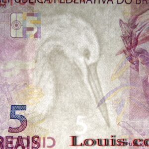 B002-3 B002‧Brasil‧2010巴西‧2reais 5reais(B)