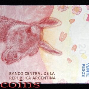 B010‧Argentina‧2017阿根廷‧20 Pesos紙鈔（66）