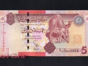B111‧LIBYA‧2011利比亞紙鈔5 Dinars(648)