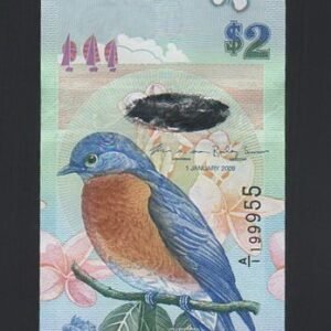 B142-BERMUDA-2009百慕達鈔票-2 Dollars(O)