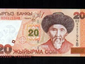 B166-KYRGYZSTAN--2002 吉爾吉斯紙幣20 Som(263)