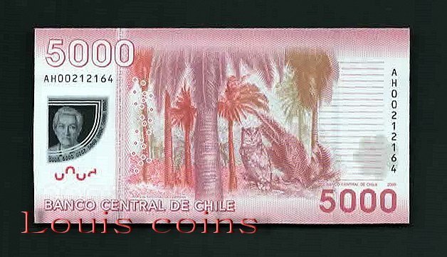 225-2 B225-CHILE--2009智利塑膠鈔票5.000 Pesos(116)