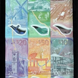 263-2 B263-BARBADOS-2022 & 2024巴貝多全套塑膠紙幣-2-100 Dollars(B)