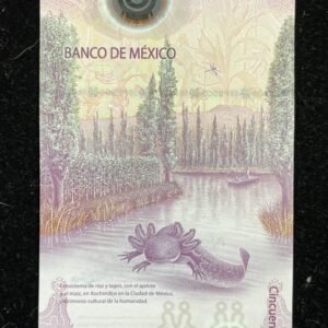 B297-MEXICO-2021墨西哥塑膠鈔票-50 Pesos(117)