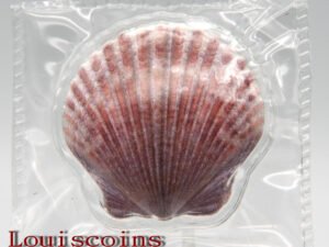 F003‧Fiji‧2019斐濟‧貝殼(扇貝)紀念銀幣
