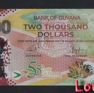 306-2 B306-GUYANA-2022圭亞那塑膠紀念紙幣-2.000 Dollars(849)
