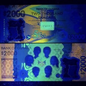 306-3 B306-GUYANA-2022圭亞那塑膠紀念紙幣-2.000 Dollars(849)