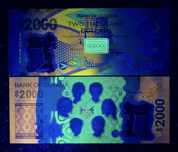 306-3 B306-GUYANA-2022圭亞那塑膠紀念紙幣-2.000 Dollars(849)
