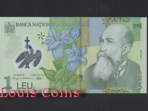 312-1 B312-ROMANIA--2005羅馬尼亞塑膠鈔票1 Leu(423)