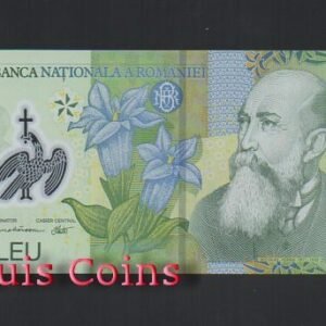 312-1 B312-ROMANIA--2005羅馬尼亞塑膠鈔票1 Leu(423)