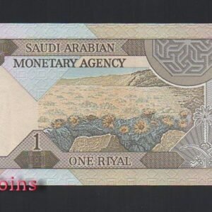 B351-SAUDI ARABIA--1961-1984沙烏地阿拉伯紙幣1 Riyal(841)
