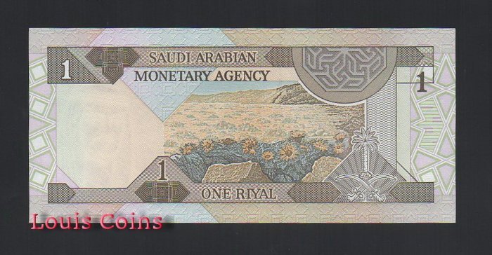 B351-SAUDI ARABIA--1961-1984沙烏地阿拉伯紙幣1 Riyal(841)