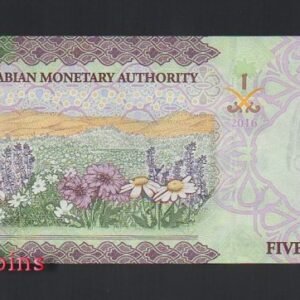 B352-SAUDI ARABIA--2016&2017沙烏地阿拉伯紙幣5 Riyal(B)