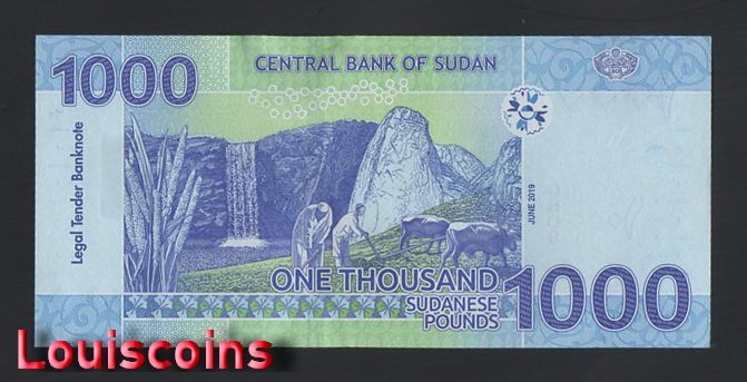 B060-SUDAN-2019蘇丹紙幣-1000 Sudanese Pounds（B）
