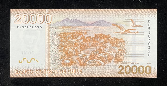 B534-CHILE-2009-2020智利鈔票20.000 Pesos（122）