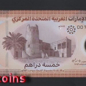 B553-UNITED ARAB EMIRATES-2022阿拉伯聯合大公國塑膠鈔票5 Dirhams(859)