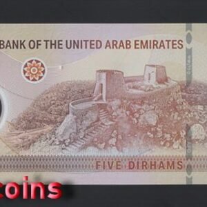 B553-UNITED ARAB EMIRATES-2022阿拉伯聯合大公國塑膠鈔票5 Dirhams(859)