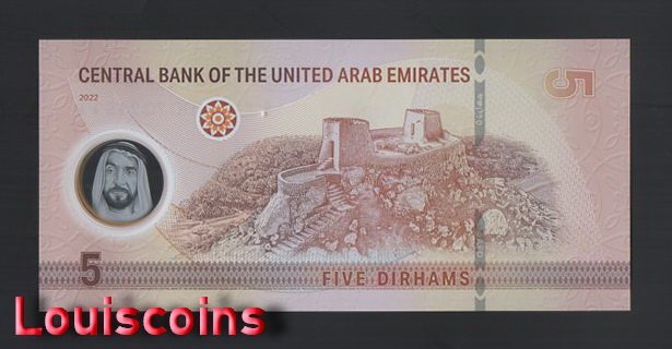 B553-UNITED ARAB EMIRATES-2022阿拉伯聯合大公國塑膠鈔票5 Dirhams(859)