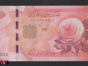 B602-SYRIA-2025敘利亞鈔票-10 Syrian Pounds(1173)