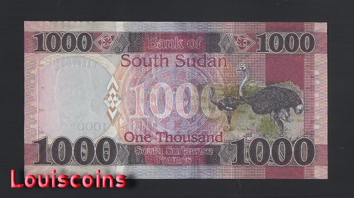 614-2 B614-SOUTH SUDAN-2020南蘇丹紙幣,1.000 South Sudanese(B)