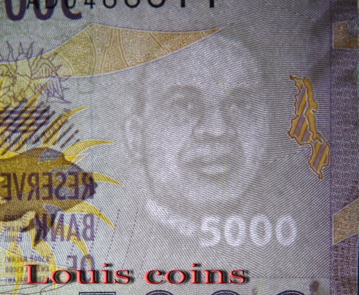 651-3 B651-MALAWI-2021馬拉威紙幣5000 Kwacha(B)