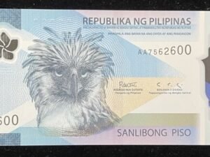669-1 B669-PHILIPPINES-2022菲律賓紙幣AA版,1000 Piso(84)