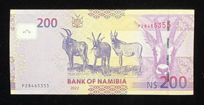 674-2 B674-NAMIBIA-2022納米比亞紙幣,-200 Namibia Dollars(B)