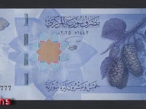 B698-SYRIA-2025敘利亞鈔票-25 Syrian Pounds(1332)