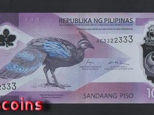 B711-PHILIPPINES-2024菲律賓塑膠紙幣100 Piso（800）