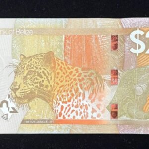 B713-BELIZE-2025貝里斯(伯利茲)紙幣 20 Dollars(B)