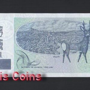 873-2 B873-GEORGIA-1995喬治亞紙幣-1 Lari(O)