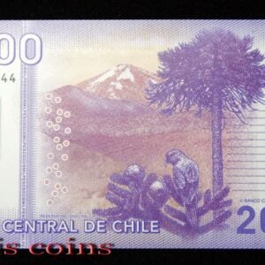 B889-CHILE-2009-21智利塑膠鈔票2.000 Pesos（347）