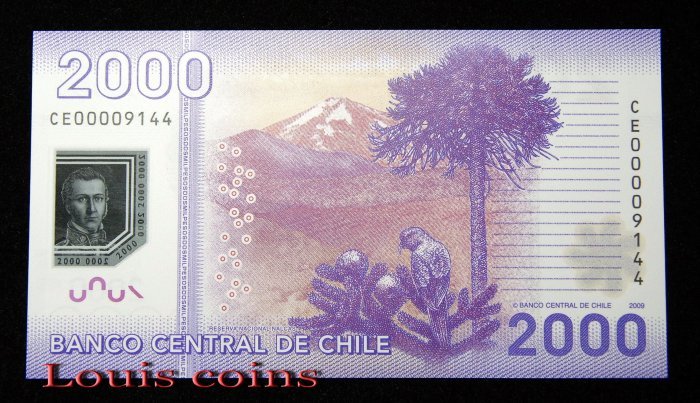 B889-CHILE-2009-21智利塑膠鈔票2.000 Pesos（347）