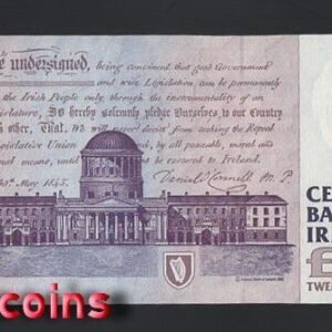 B942-IRELAND-1992-1999愛爾蘭紙幣-20 Pound(BO)