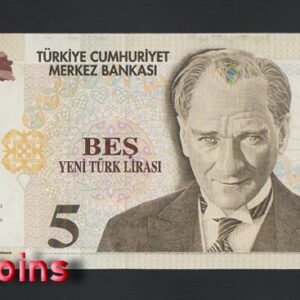 949-1 B949-TURKEY-2005土耳其鈔票-5 Yeni Türk Lirası(B)