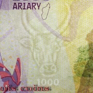 1091-3 B1091 MADAGASCAR-ND 2017馬達加斯加紙幣 1000 Ariary(543)