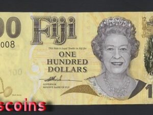 1124-1 B1124-FIJI-ND (2007)斐濟紙幣-100 Dollars(BO)