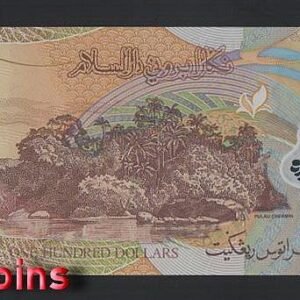 1130-2 B1130-BRUNEI-2004-13汶萊塑膠鈔票-100 Ringgit / Dollars(B)