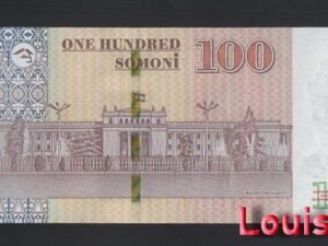 1193-2 B1193-TAJIKISTAN-2017塔吉克斯坦鈔票-100 Somoni(BO)