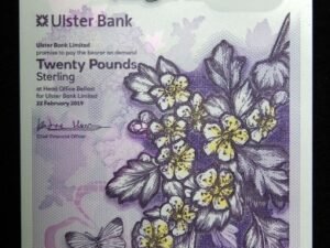 B1199-NORTHERN IRELAND-2019北愛爾蘭塑膠紙幣.20 Pounds(904)