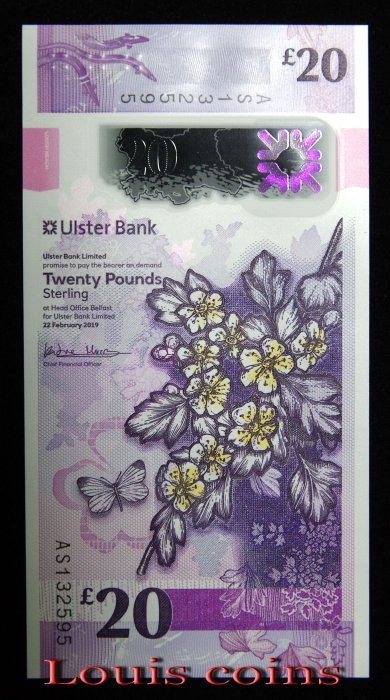 1199-1 B1199-NORTHERN IRELAND-2019北愛爾蘭塑膠紙幣.20 Pounds(904)